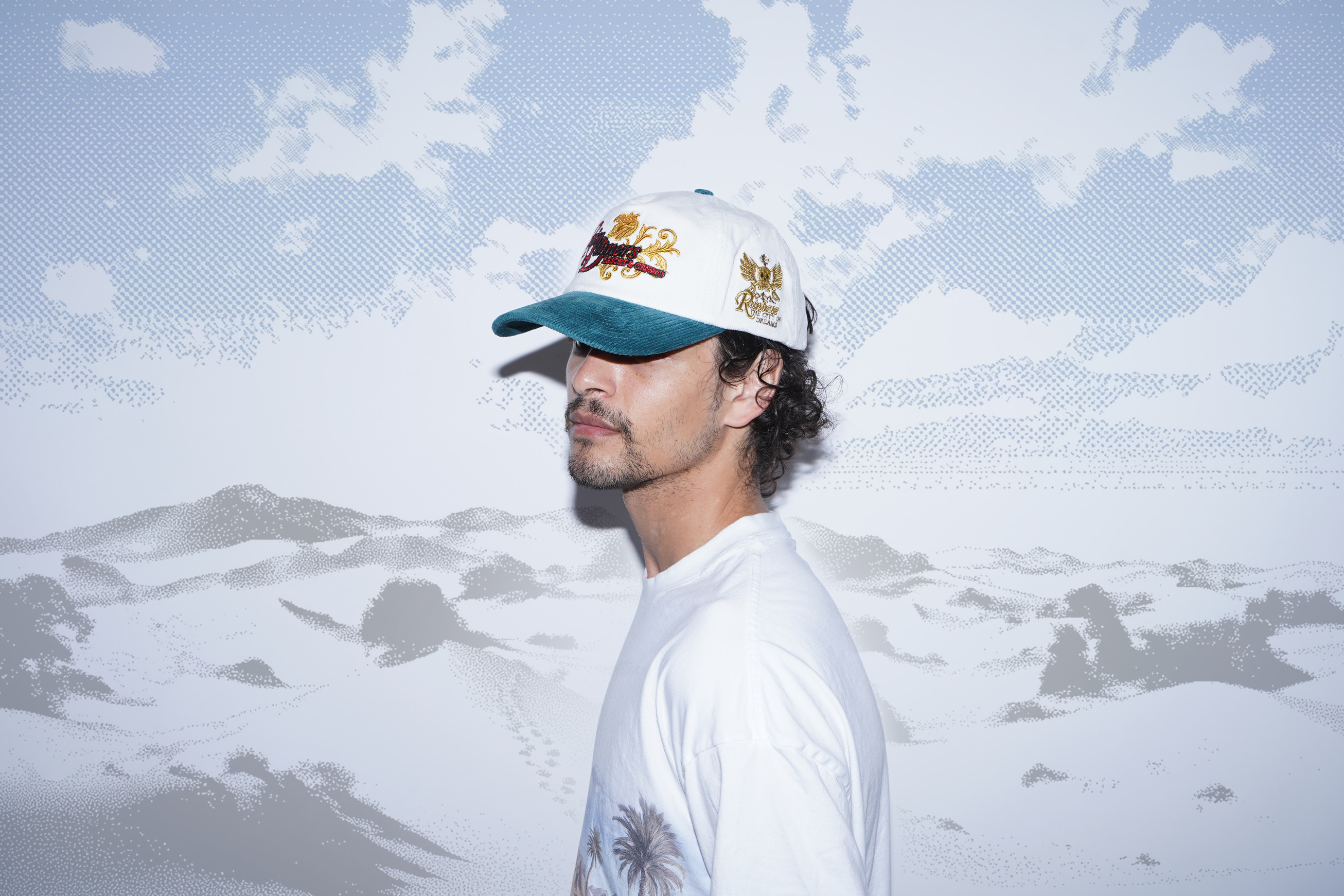 Label 003 - Heatwave