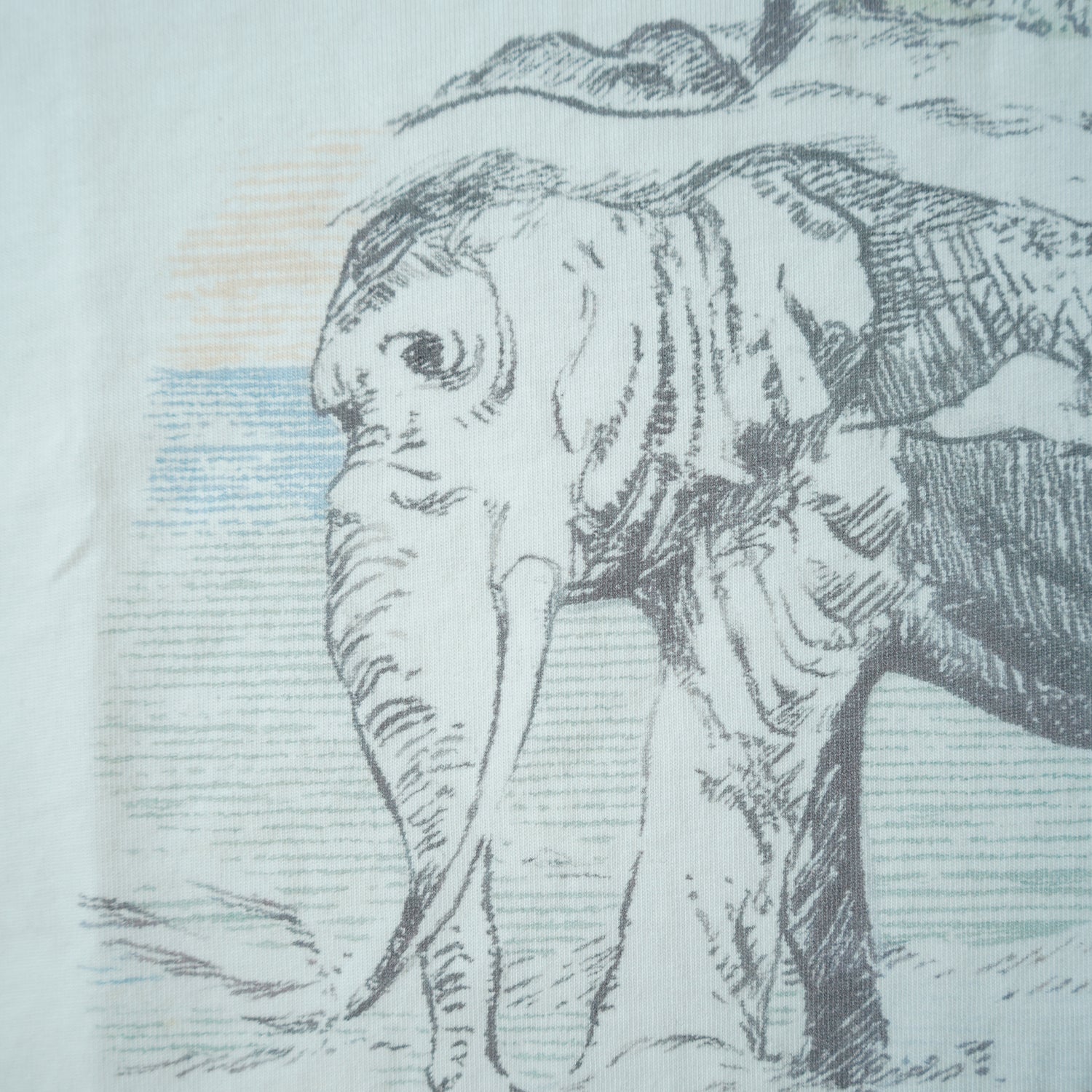 Illustration of an elephant with a person on its back, set against a light blue background.