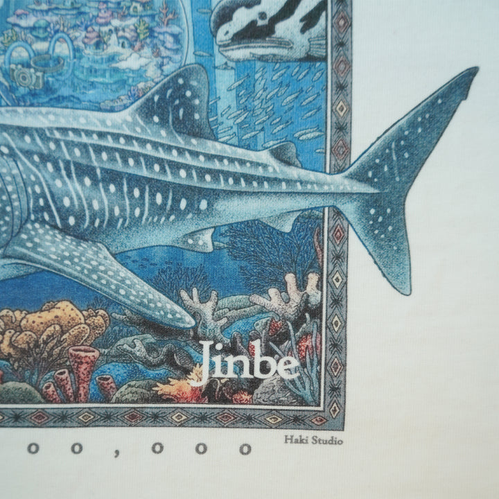 Illustration of a shark in an underwater scene with 'Jimbe' branding.